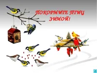 Акция «Кормушка»