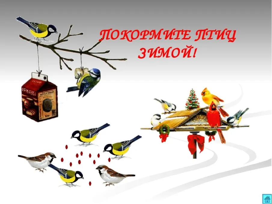 Акция «Кормушка»